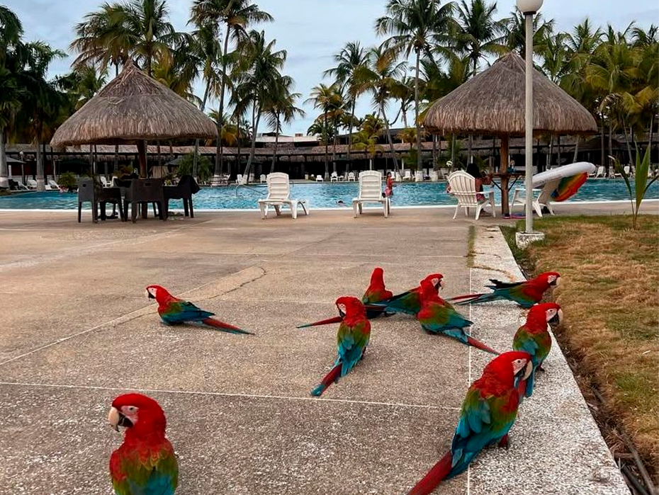 Koral OHS Hotel & Marina Morrocoy